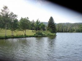 Photos 